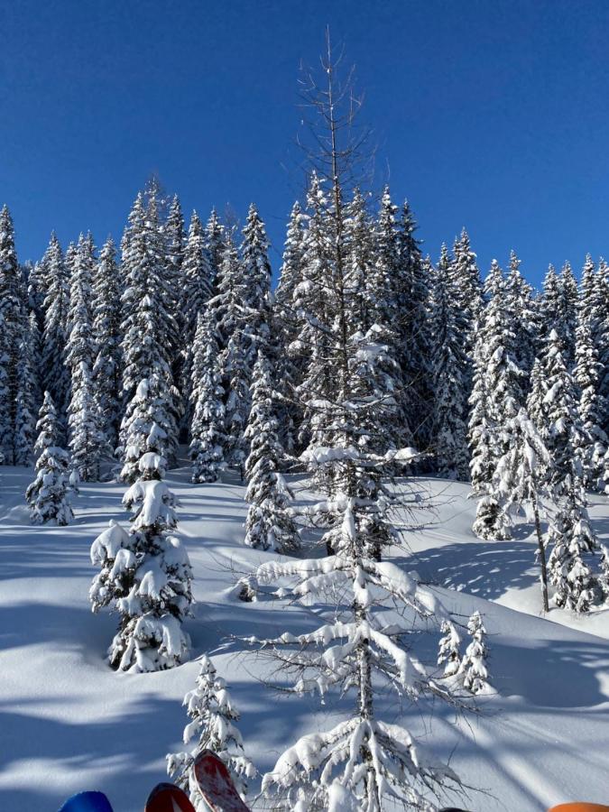 Appartements By Chalet Reiteralm -Sommercard سخلادميخ المظهر الخارجي الصورة