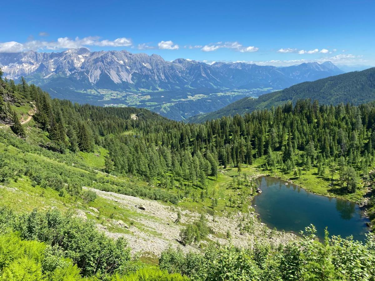 Appartements By Chalet Reiteralm -Sommercard سخلادميخ المظهر الخارجي الصورة