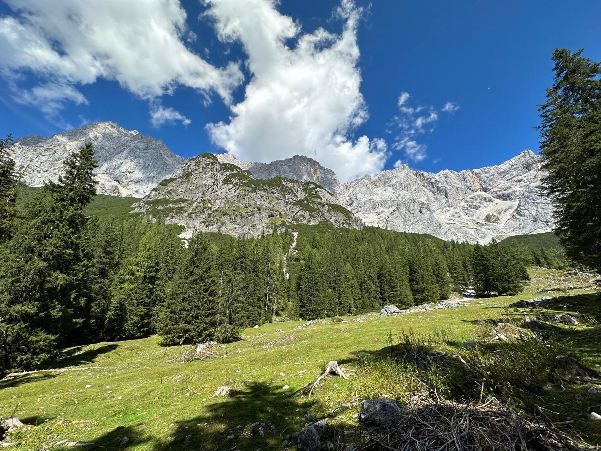 Appartements By Chalet Reiteralm -Sommercard سخلادميخ المظهر الخارجي الصورة