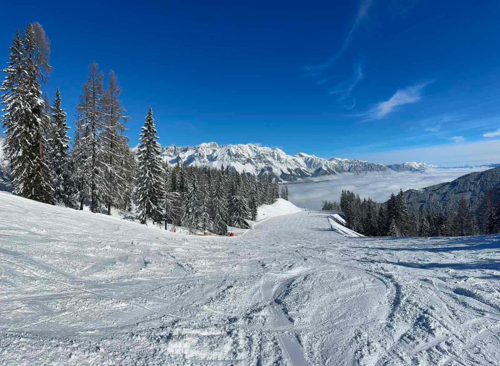 Appartements By Chalet Reiteralm -Sommercard سخلادميخ المظهر الخارجي الصورة
