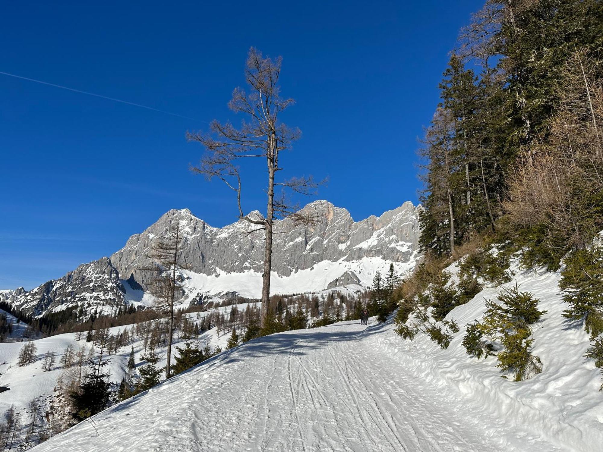 Appartements By Chalet Reiteralm -Sommercard سخلادميخ المظهر الخارجي الصورة